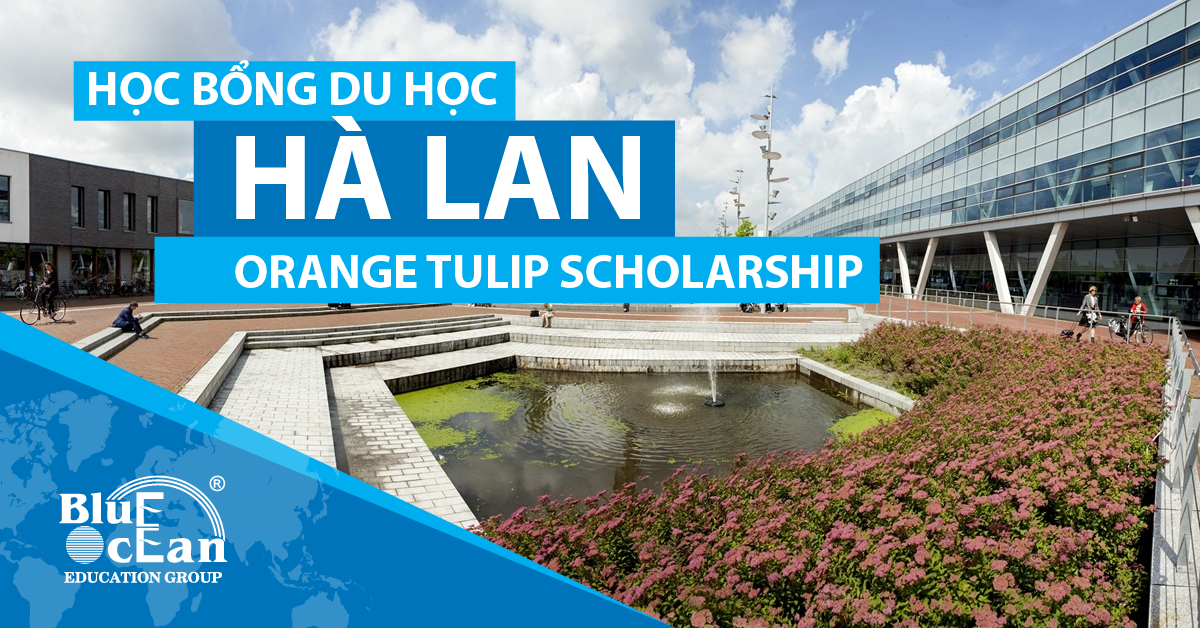DU HỌC HÀ LAN VỚI HỌC BỔNG TULIP