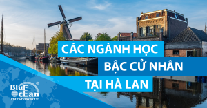 CÁC NGÀNH HỌC BẬC CỬ NHÂN TẠI HÀ LAN